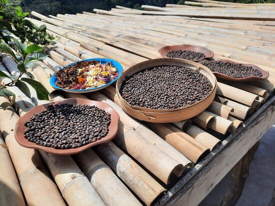Eigene Kaffee-Ernte vom Cafe...an der Röstung müssen sie noch etwas arbeiten.
