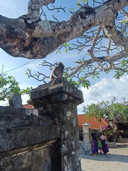 Er versucht sie sich selbst aufzusetzen.