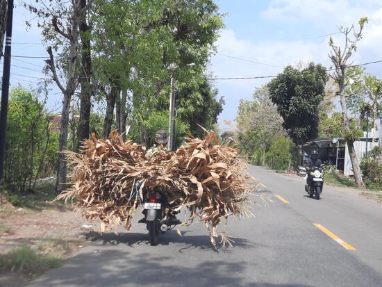 Ich denke, Mopeds werden in Deutschland maßlos unterschätzt...