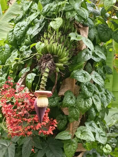 Ein schönes Arrangement...