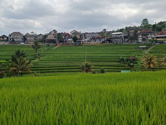 Im Hintergrund der schmucke Ort Jalituwih.