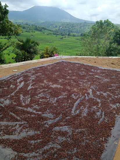 Hier werden Nelken getrocknet...wir verbidnen dies immer mit Birnenkompott...aber das wird nicht deren einzige Zweckbestimmung sein.