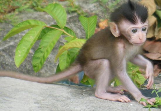 ...und das ist doch einer für zu Hause...oder?