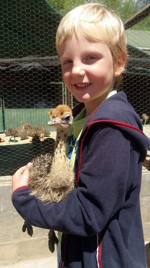 und die kleinen sowas von niedlich...