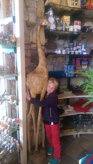 die hätten wir gern mitgenommen...aber wie?