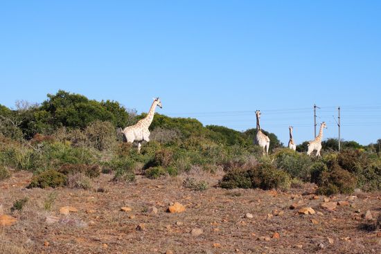 irgendwie unwirklich...