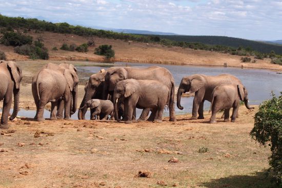 der Inbegriff eines Nationalparkbesuchs