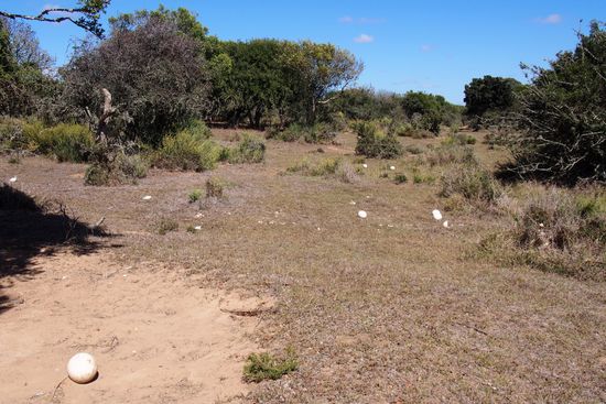 Bei Familie Strauß zu Hause - Eltern ausgelaufen.
