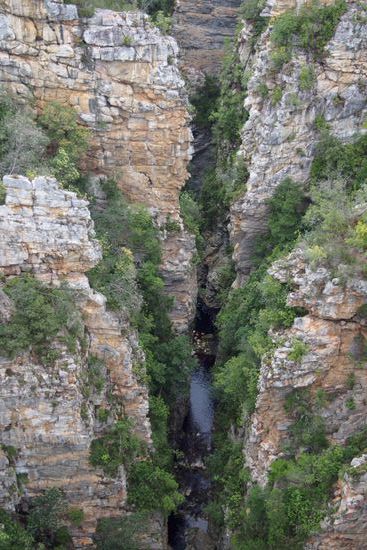 Die tief eingeschnittene Schlucht des Storms river.