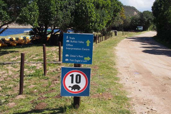 Die Schildkröten hatten leider Urlaub...