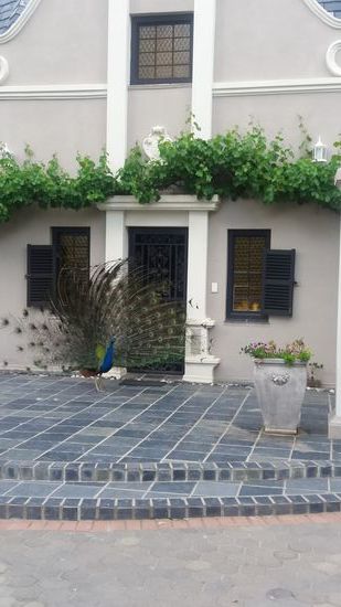 unser Empfangskommitee auf Shadowland