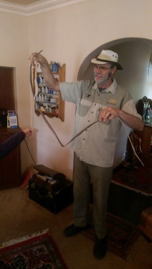 Anton hat gewonnen - mit so einer langen Schlangenhaut einer Boomslang konnten wir nicht mithalten.