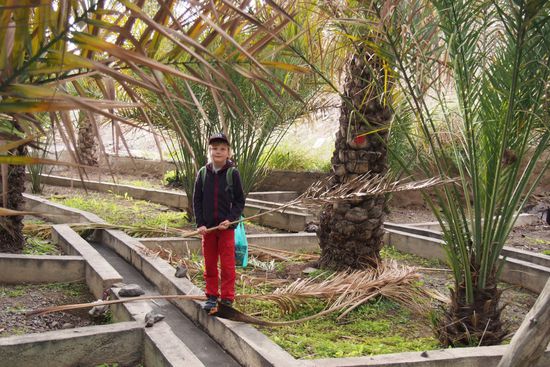 Die Wasserkanäle, die nach genauem Plan stundenweise geflutet werden.
