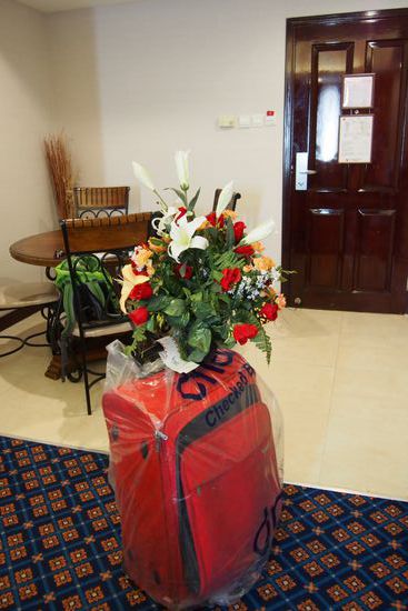 Die Blumen sollen über den Gesamteindruck nicht hinwegtäuschen, das war Empfang und Gnadenschuss in einem. Er wird den Rückflug nicht mehr erleben (können).