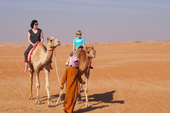 2 Freizeitkamelsportler - fürs Racing reicht´s aber nicht.
Kamele spielen kiene wirtschaftliche Rolle mehr, nur noch für Touris oder eben fürs Kamelracing. Im Alltag haben die PS-Boliden gewonnen.