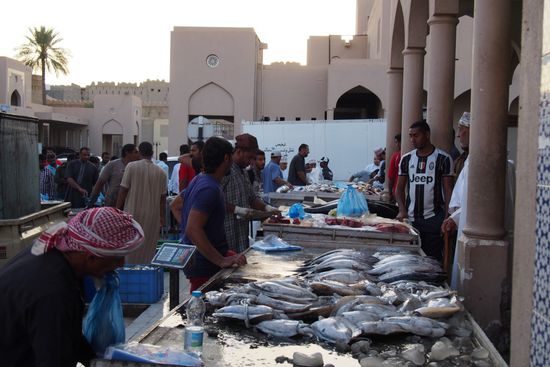 Auf dem Fischmarkt, nebenan gleich mit Schlachtung., Raphael war fasziniert und angeekelt zu gleich