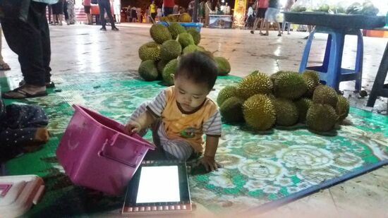 Die Kleine macht bestimmt gerade die Buchhaltung für den Durian-Verkauf auf dem Tablet.