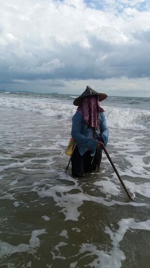 Die Frau war über Stunden auf der Jagd nach perlmuttartigen Muscheln,  obwohl am Strand keine zu finden waren.