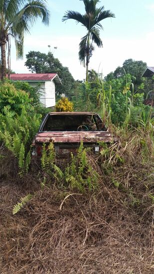 Wer braucht hier schon ein Auto.