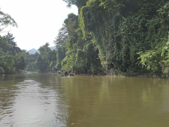 Traumhaft schöne  Flusslandschaft,  aber keine grossen Tiere