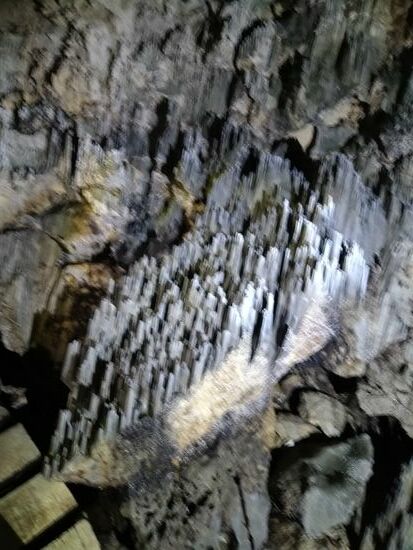 Das sind Kristallgebilde,  die ihre Richtung nach dem Licht ausrichten... hätte ich für ein Märchen gehalten.