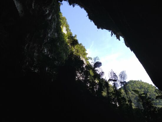 Der Eingangsbereich zur  Deer cave... die Bilder vermitteln nicht ansatzweise die Größe.