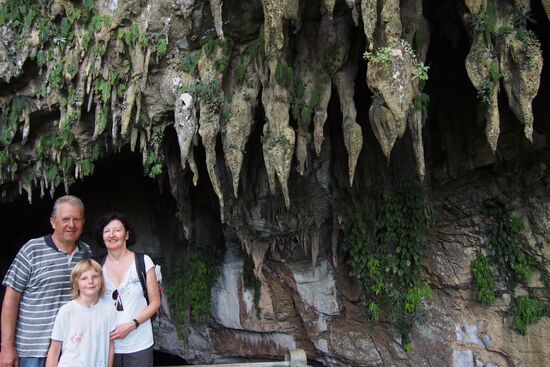 Endemische Pflanzen, die es nur in Mulu gibt