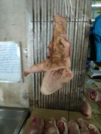 Dafür hab ich doch glatt das Schweinsohr in der Nachbarschaft hängen lassen.