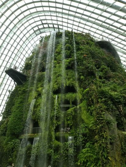 ein großer Wasserfall am Eingang vom Rain forrest  dome.