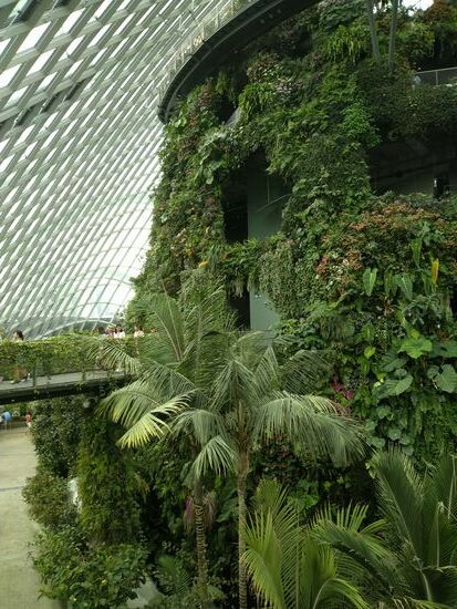 Die Wege führen auf verschiedenen Ebenen um den "Berg" herum.  Der Eindruck blieb: künstlich.  Da ist Gondwanaland im Leipziger Zoo näher dran an der Natur.