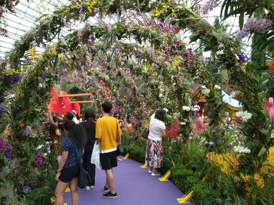 Orchideenpracht im Flowers dome