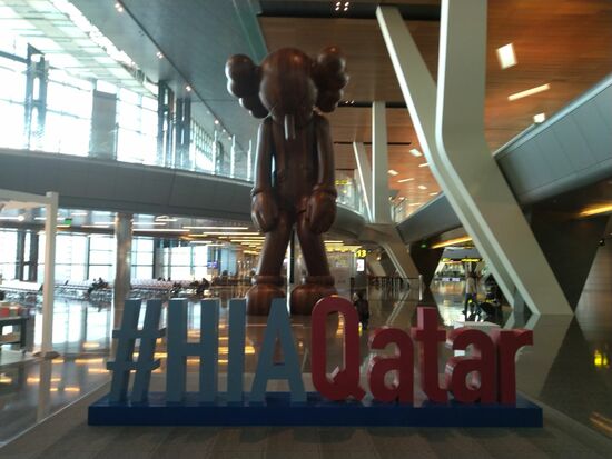 Der Kollege guckt so traurig, hat wohl in Doha seinen Anschlussflug nicht bekommen.