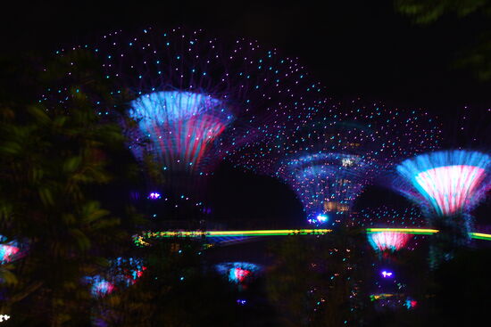 Abends dann noch eine Runde durch die Bay Gardens gedreht. Ein supergepflegter Park, wie ganz Singapur überhaupt. und als Hauptattraktion riesige künstliche Bäume, die abends mit einer prächtigen Show illuminiert werden.  Für heute war das ein kurzer Besuch, bei unserem längeren Aufenthalt werden wir auch den Skywalk (der gelb illuminierte Weg auf halber Höhe) nutzen,