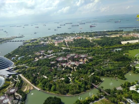 ein Blick auf die Gardens...links im Anschnitt die riesigen Gewächshäuser...naja haben wir selbst in Leipzig mit Gondwana...