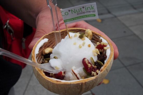 Leckeres Kokoseis mit Nüssen und Cranberries als Wegzehrung