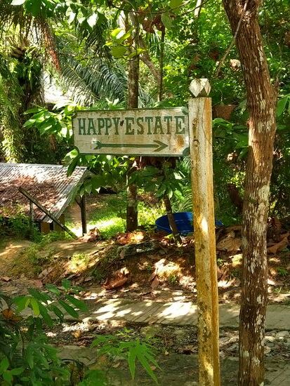 Das beschreibt es sehr gut.