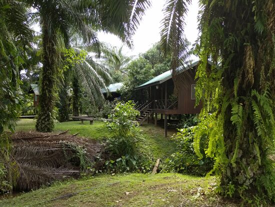 Die Anlage macht einen guten Eindruck,  unser Häuschen ist Nr.  12, das Vorderste