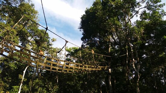 Der Bootsmann nannte sie die "Dschungelmafia".