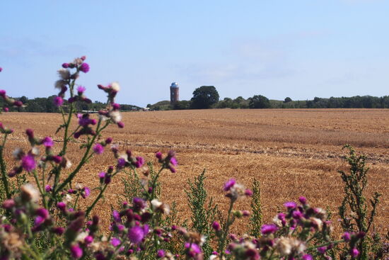 Blick zur ehemaligen Messstation, jetzt Laden/Atelier mit Aufstiegsmöglichkeit