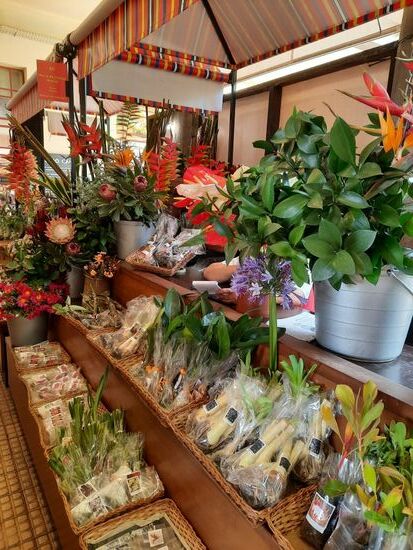 Bei Blumenzweibeln und Stecklingen musste auch einiges mit. Die Verkäuferin war sehr darum bemüht, uns auch in die Pflege einzuweisen, es war ein herzlicher Kontakt