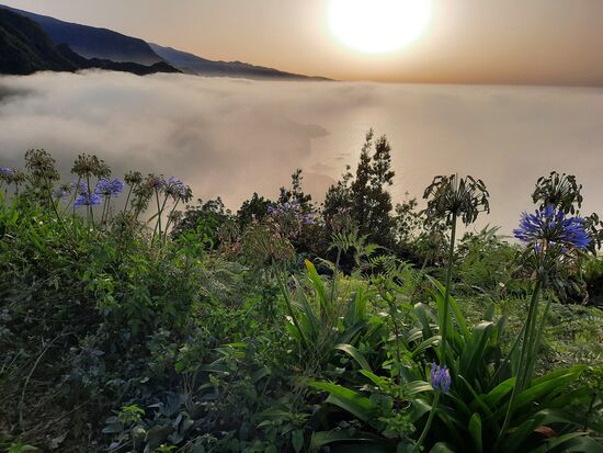 Auf dem Rückweg, das Tal von Arco de Sao Jorge komplett in den Wolken, eine grandiose Foto-Kulisse.