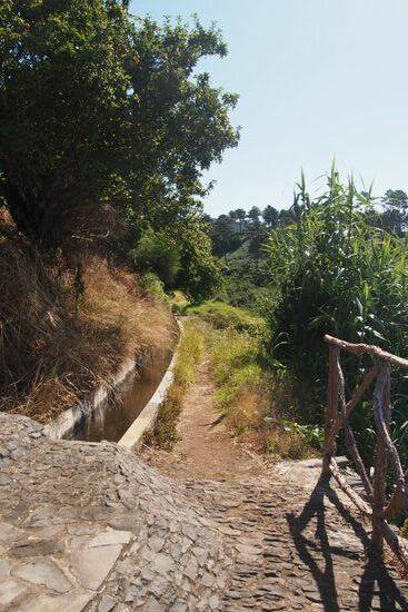 Eine Levada-Wanderweg beginnt direkt vorm Haus.