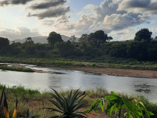 Abenstimmung im Krüger.