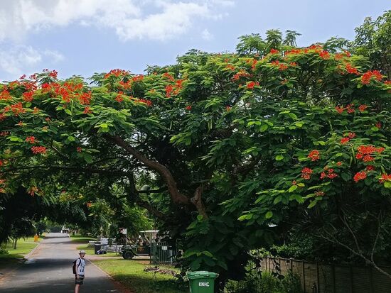 auf dem Weg zum Strand