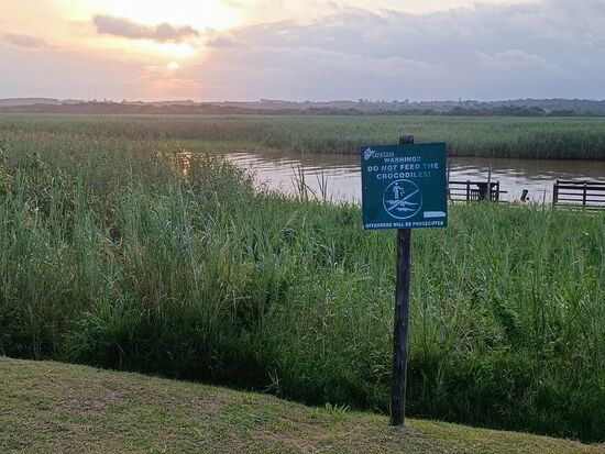 wie soll man denn was füttern, was sich nicht blicken lässt...