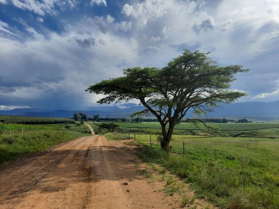 der Weg zu Ardmores Guest Farm