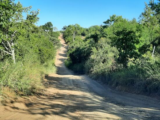 seiht gar nicht so heftig  aus...später hat Simone einfach das Fotografieren vergessen...Angsthäsin.