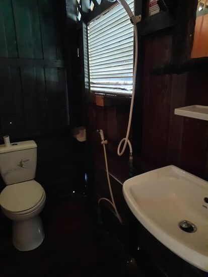 Fast hätten wir´s vergessen, das war unser special Bad...man hätte auf dem Klo gleich duschen und Zähne putzen können.