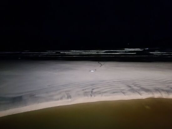 Nochmal den Weg bis zum Strand gelaufen...und siehe da, jetzt ist er da. Einfach nur schlechtes Timing, die Flut war heute gegen 10 Uhr. Und 2,5 m Hühenunterschied zwischen Ebbe und Flut. Wer zu anderer Zeit da ist, mag unsere Strand-Einschätzung vielleicht gar nicht teilen.