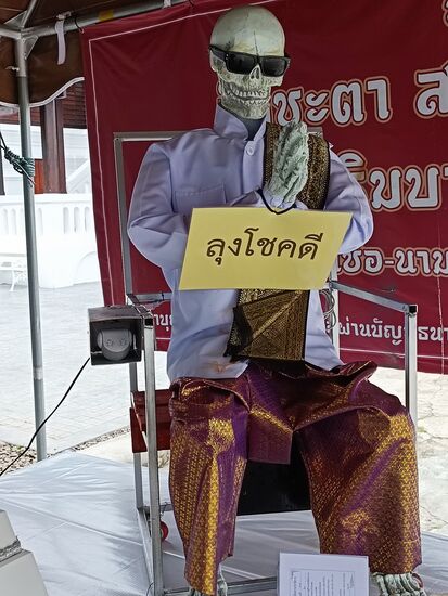 Dieser Kollege hat den Weg bis zur Chedi nicht geschafft, er sieht etwas agemagert aus...